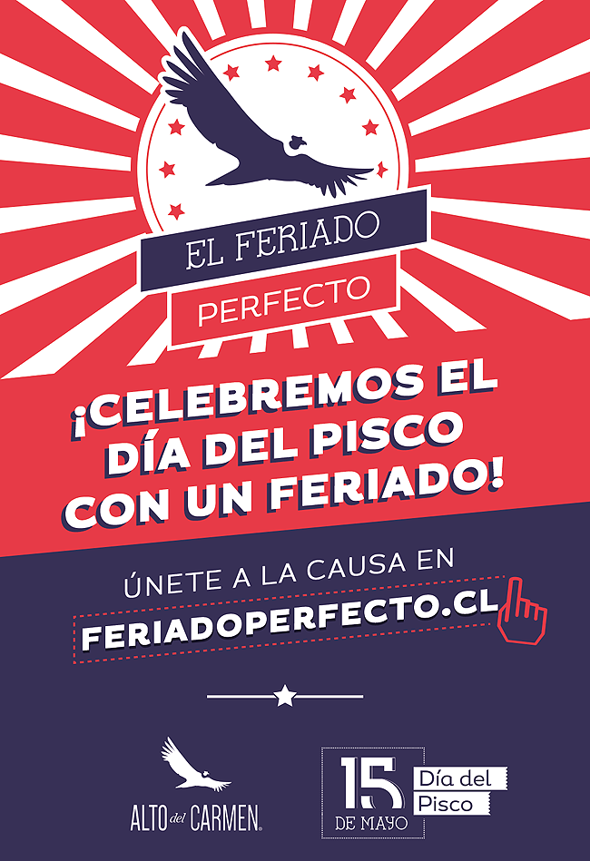 afiche dia pisco