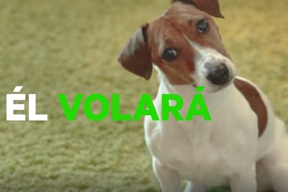 Sky y Grey proponen una conjugación del verbo volar