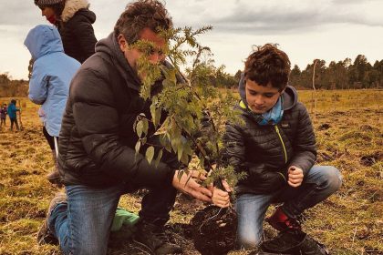 Hotel apoya proyecto de reforestación en Chiloé