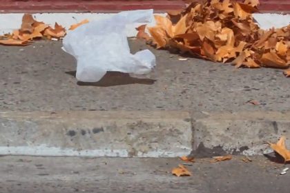Icónica bolsa de Belleza Americana sigue flotando