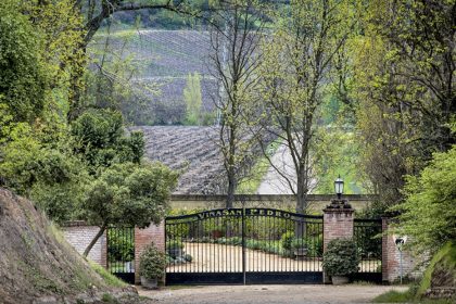 VSPT Wine Group logra reconocimiento internacional