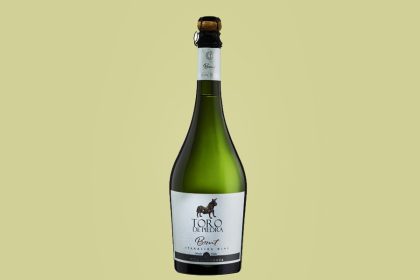 Espumante Toro de Piedra Brut para el verano