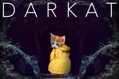 Catflix: Una plataforma de streaming… ¿para gatos?