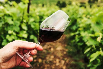 Estrategia 2021 de Wines of Chile en los mercados prioritarios