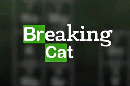 Catflix consagra a Global en los Echo Latam