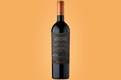 Nuevo vino y cambio de imagen de Castillo de Molina