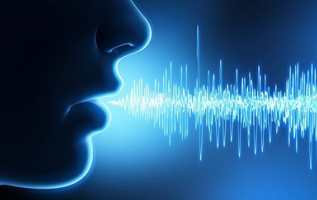 Fastco bots contacto Publimark