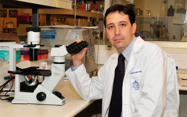Alexis Kalergis marca chile Publimark