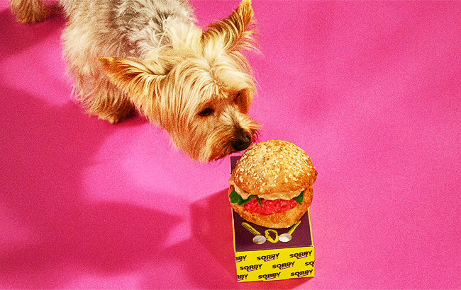 TerryBurger Publimark