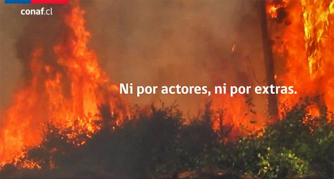 Conaf McCann Publimark