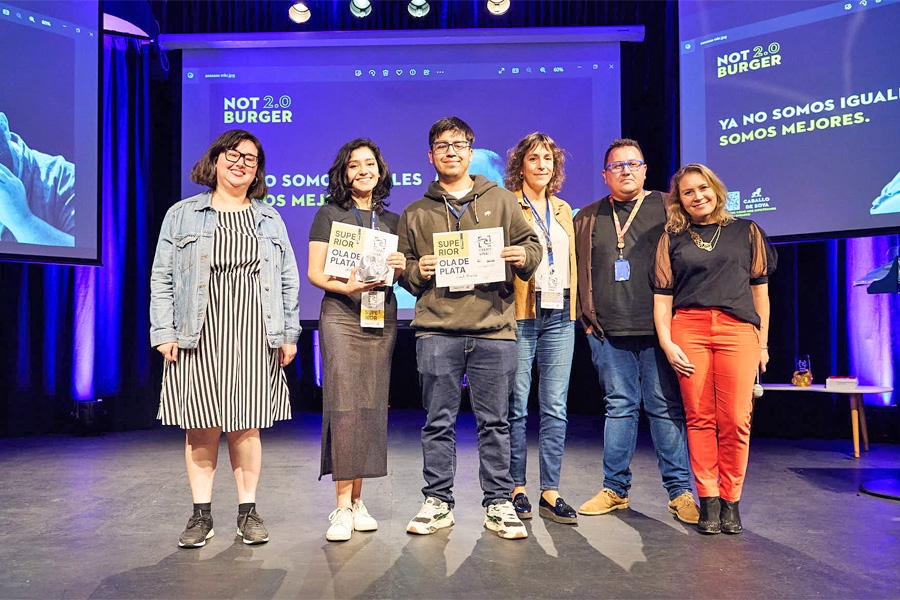 Festival Creativiña vivió exitosa edición número 20