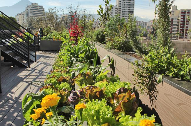 Mandarin Oriental huerto Publimark