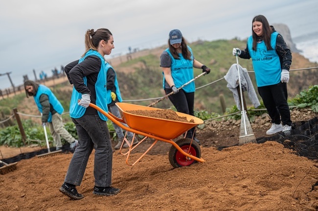 Punta de Lobos voluntarios Publimark