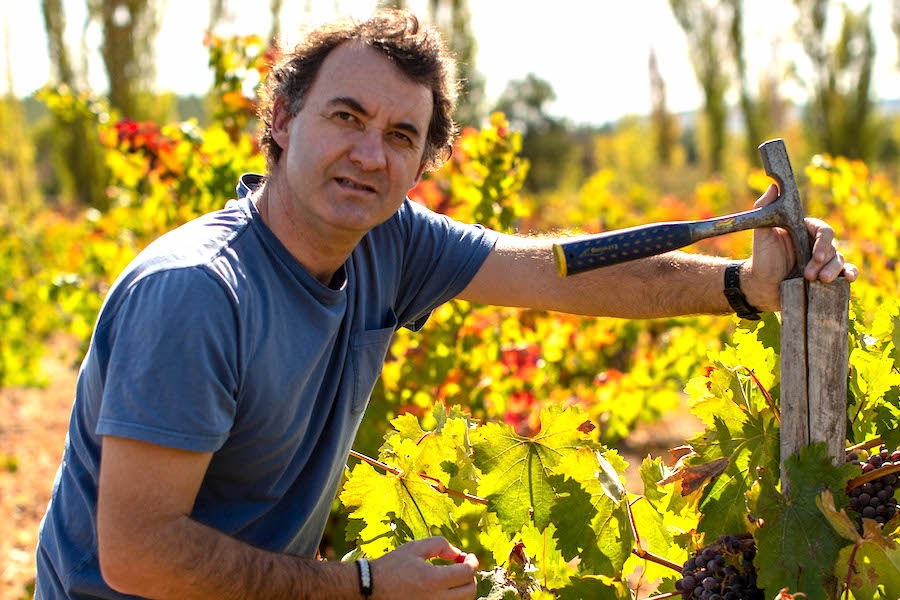 La consagración de Inquietos Field Blend de Miguel Torres