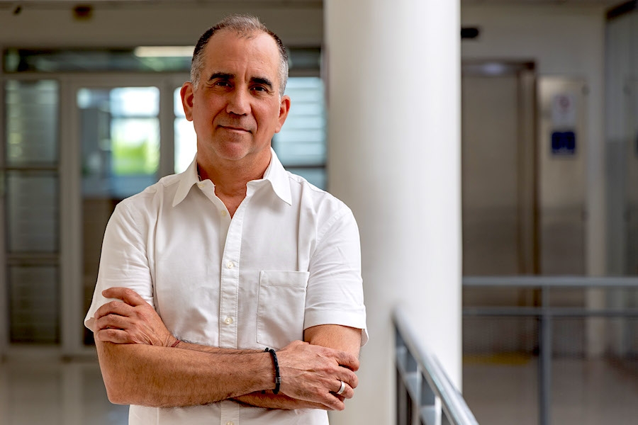 Eduardo Lasheras: El efecto polilla